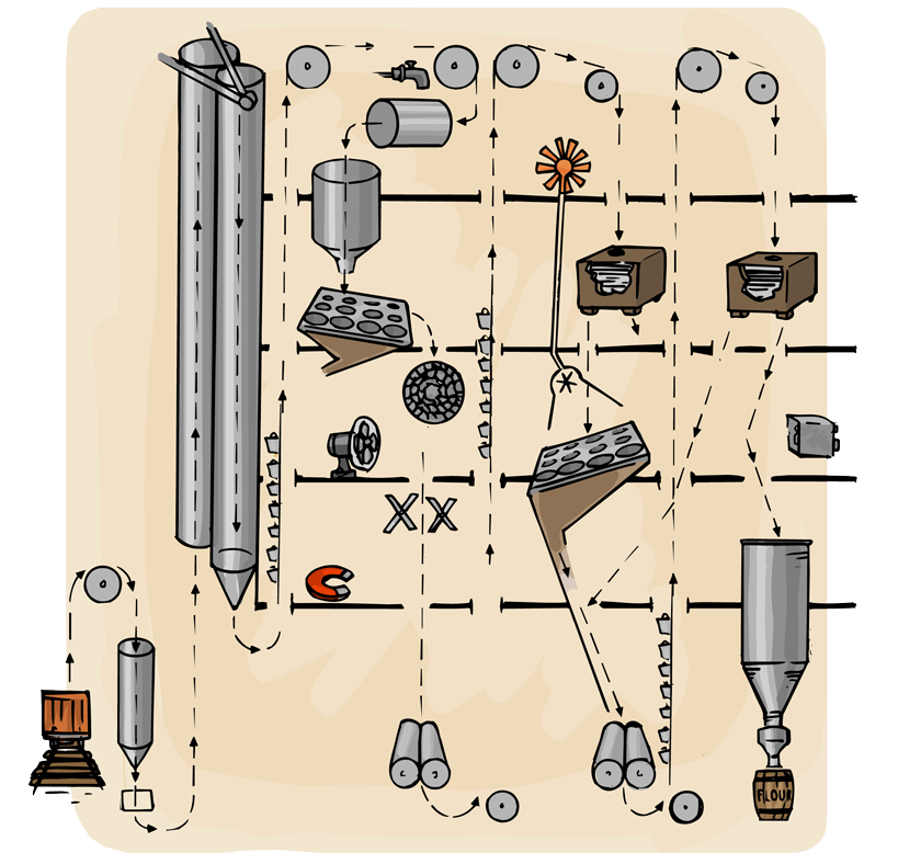 A cutaway section of a mill showing how the wheat goes up and down through the building as it is sorted, cleaned, and ground into flour.