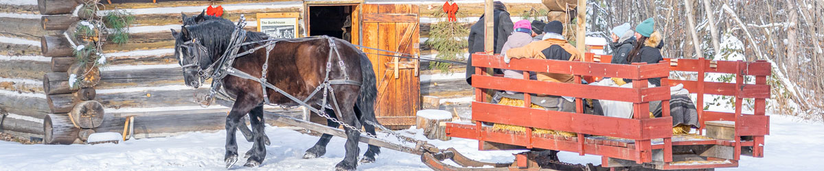 Winter Horse-Drawn Rides.